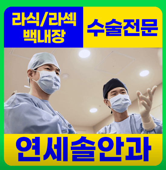 서울 강서구 스마일라식