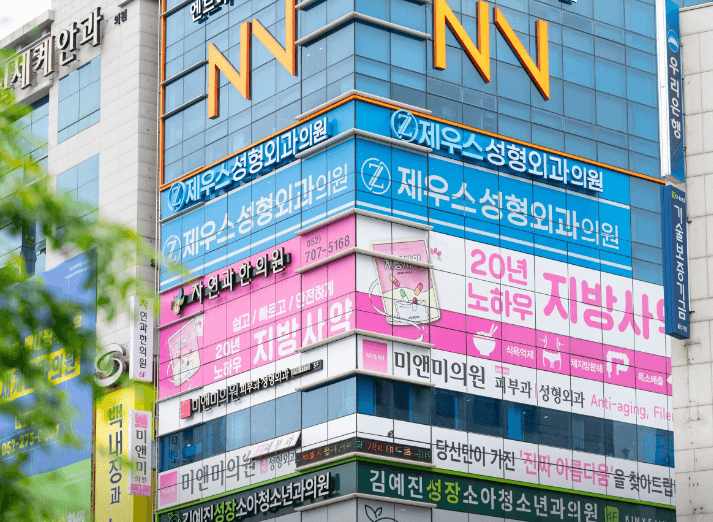 울산 성형외과