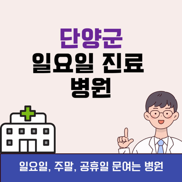 단양군 일요일 진료 병원