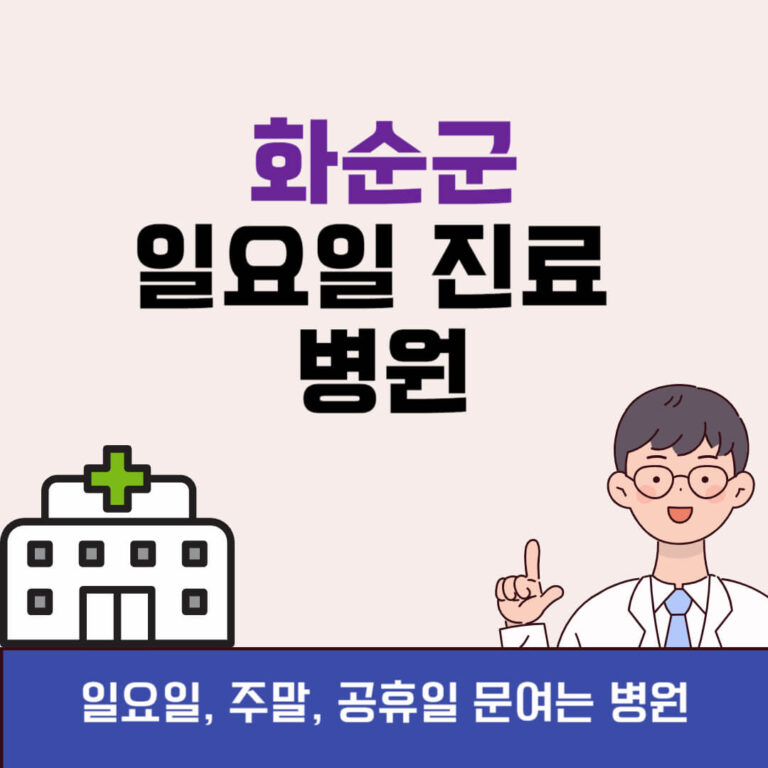 화순군 일요일 진료 병원