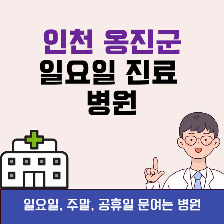 인천 옹진군 일요일 진료 병원