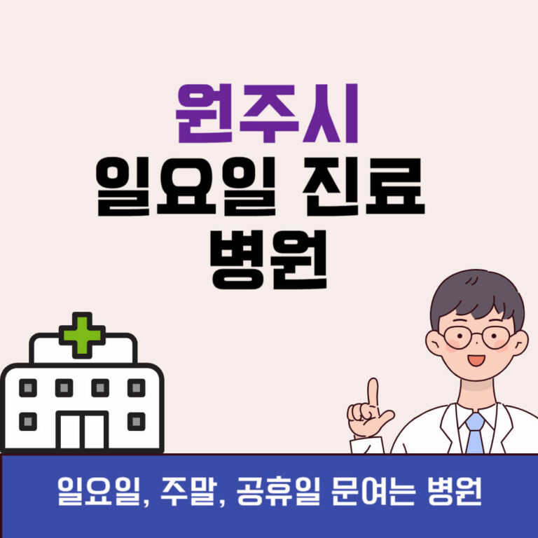 원주시 일요일 진료 병원