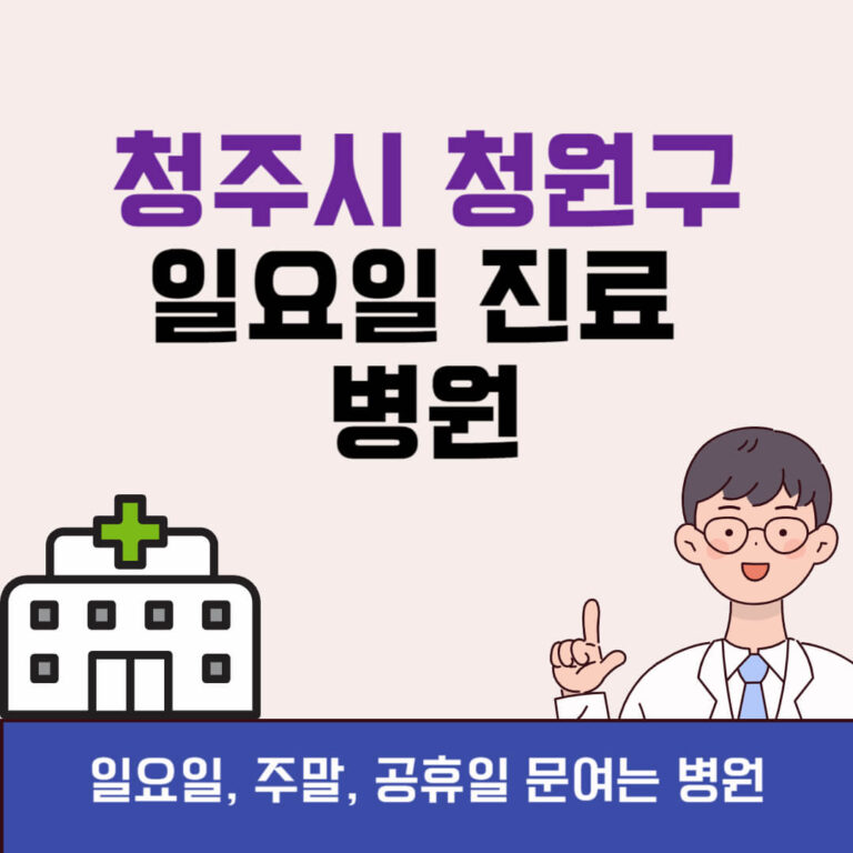 청주시 청원구 일요일 진료 병원