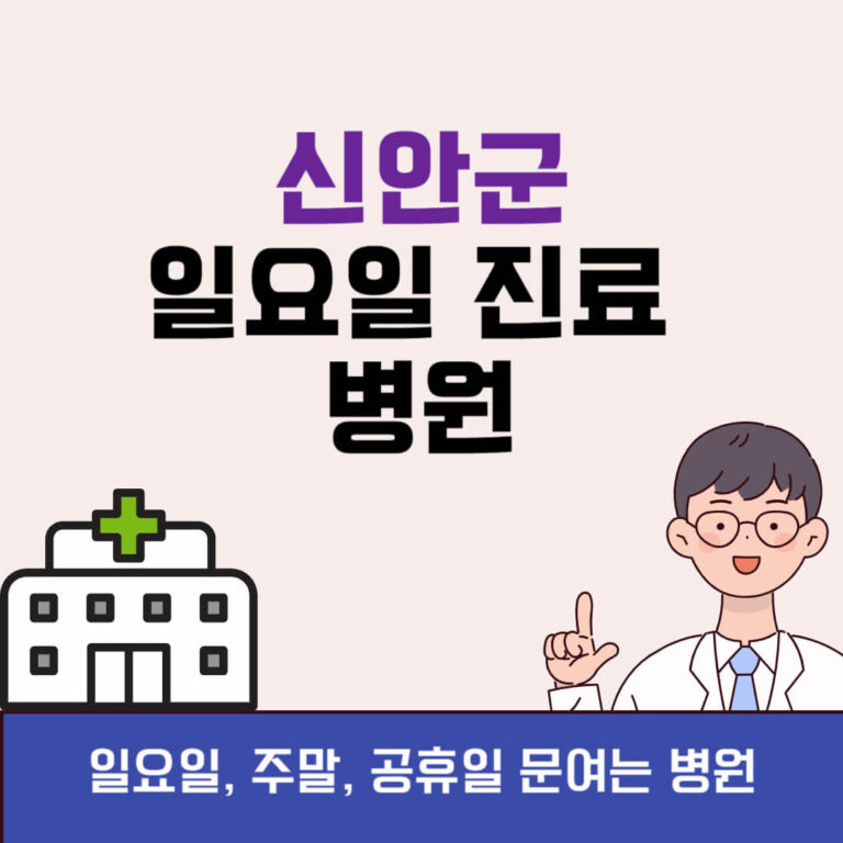 신안군 일요일 진료 병원