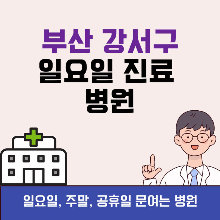 부산 강서구 일요일 진료 병원