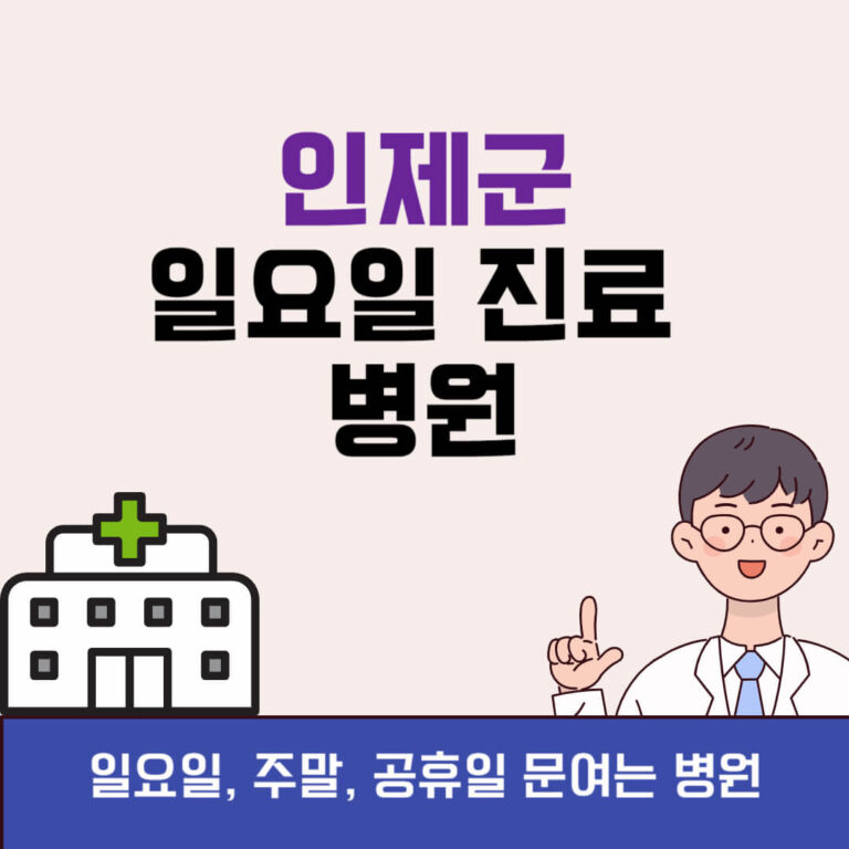 인제군 일요일 진료 병원