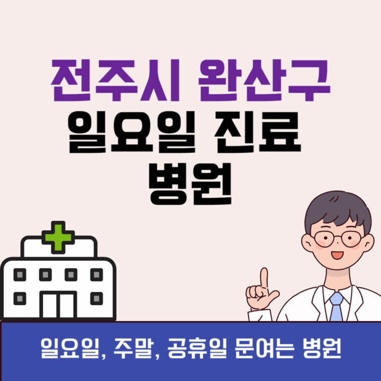 전주시 완산구 일요일 진료 병원