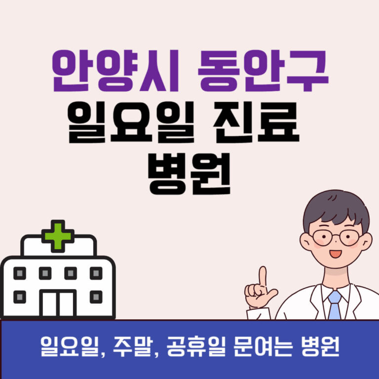 안양시 동안구 일요일 진료 병원