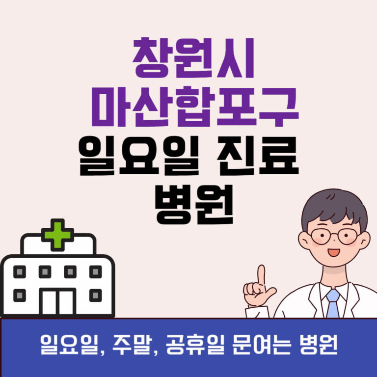 창원시 마산합포구 일요일 진료 병원