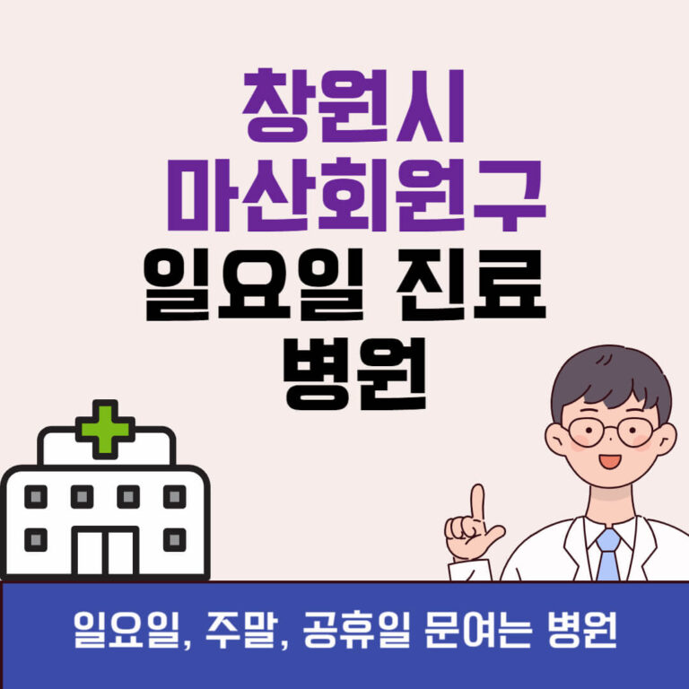 창원시 마산회원구 일요일 진료 병원