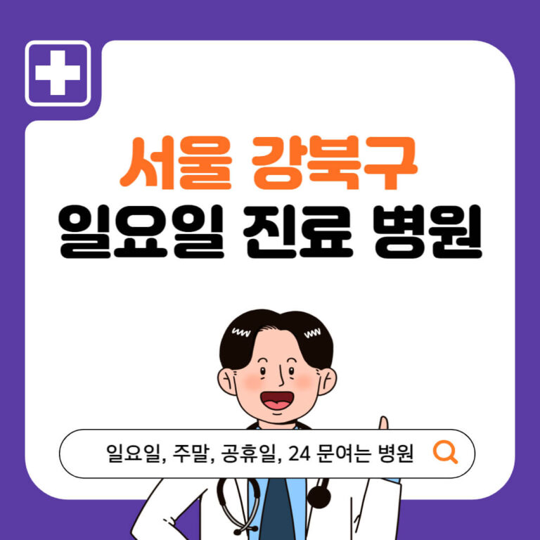 서울 강북구 일요일 진료 병원