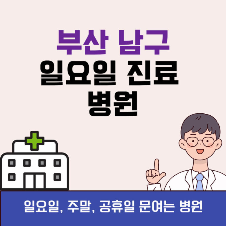 부산 남구 일요일 진료 병원