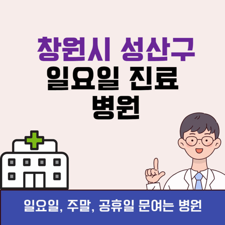 창원시 성산구 일요일 진료 병원