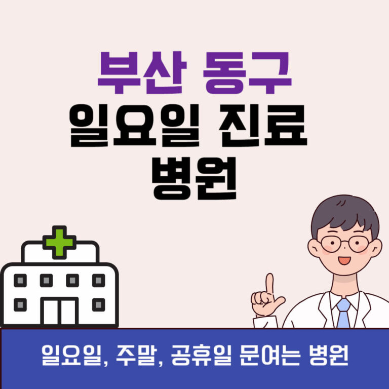 부산 동구 일요일 진료 병원