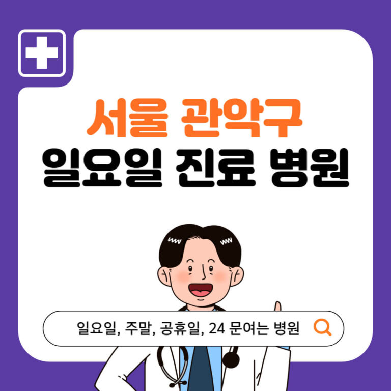 서울 관악구 일요일 진료 병원