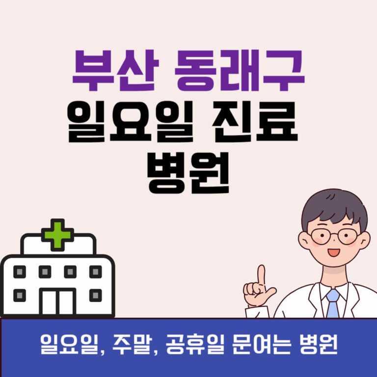 부산 동래구 일요일 진료 병원