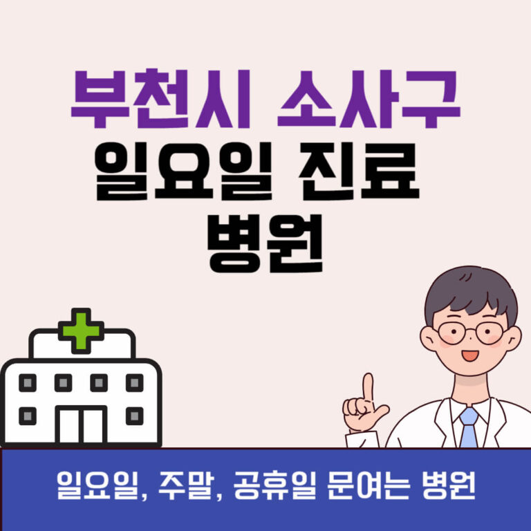 부천시 소사구 일요일 진료 병원