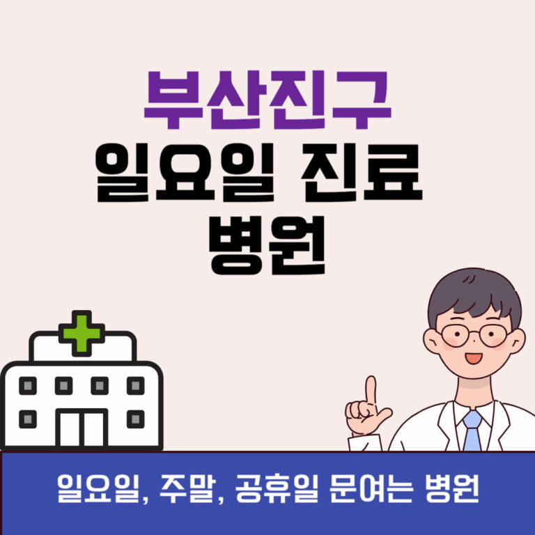 부산진구 일요일 진료 병원