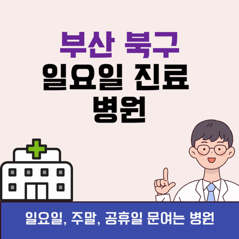 부산 북구 일요일 진료 병원