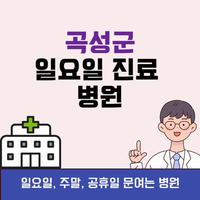 곡성군 일요일 진료 병원