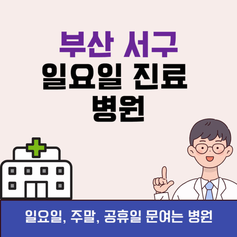 부산 서구 일요일 진료 병원