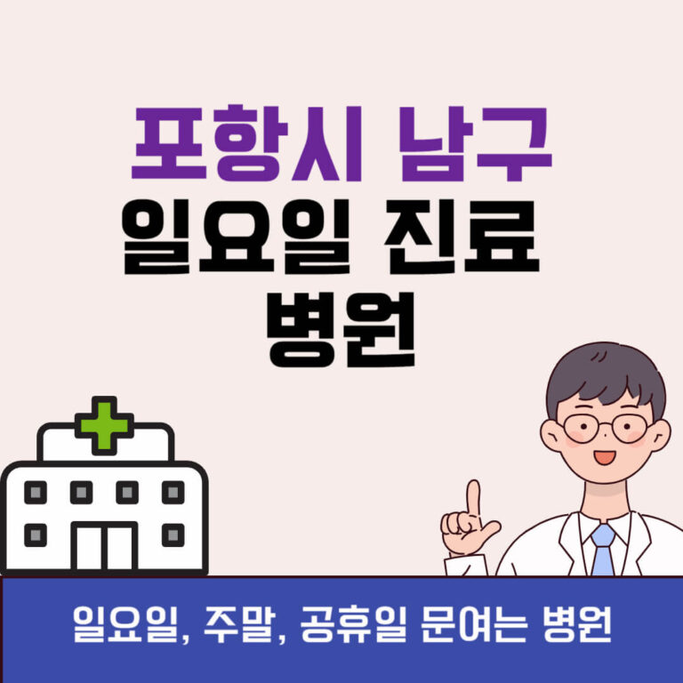 포항시 남구 일요일 진료 병원