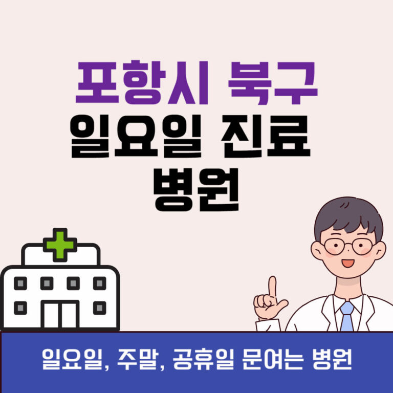 포항시 북구 일요일 진료 병원