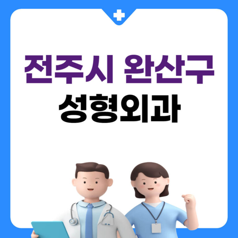 전주시 완산구 성형외과