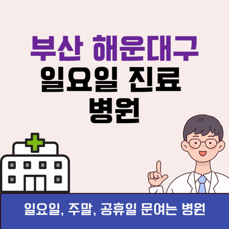 부산 해운대구 일요일 진료 병원