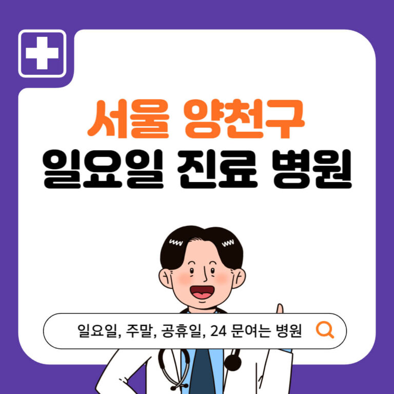 서울 양천구 일요일 진료 병원