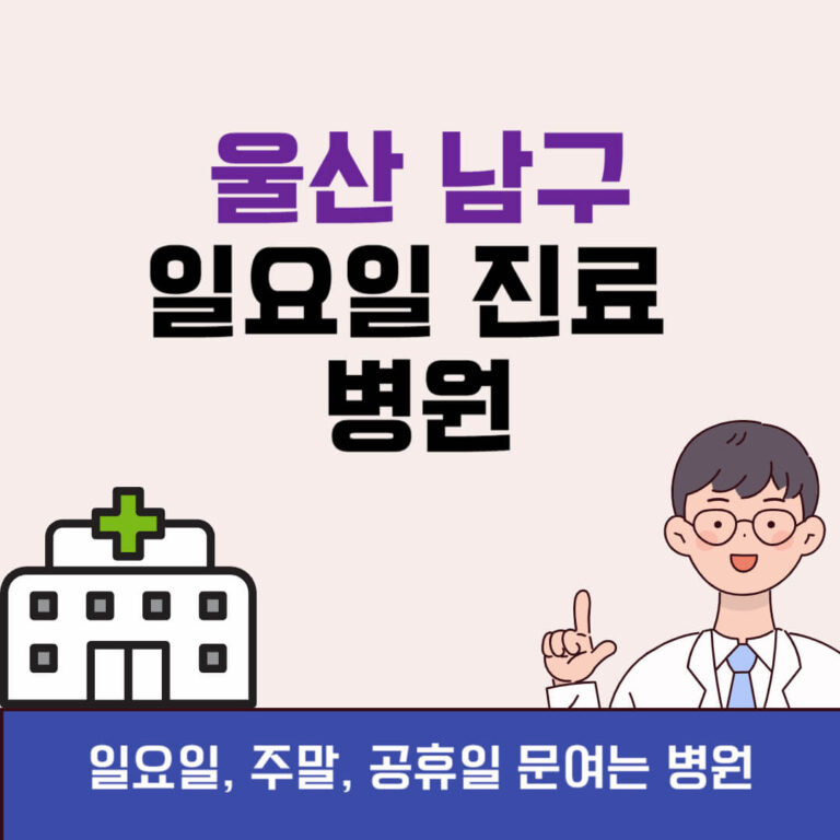 울산 남구 일요일 진료 병원