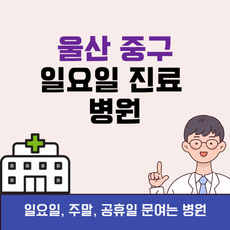 울산 중구 일요일 진료 병원