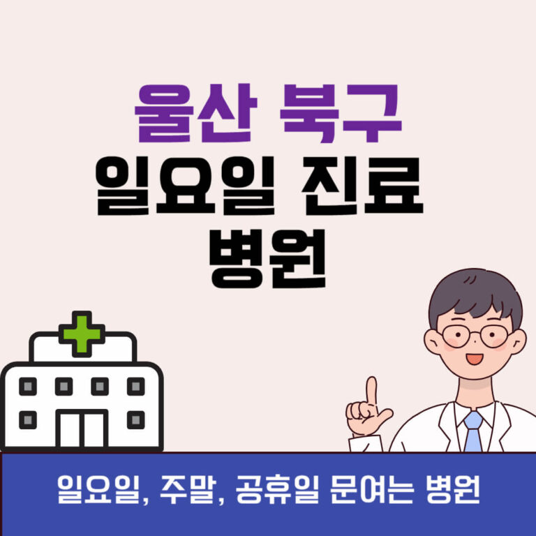 울산 북구 일요일 진료 병원