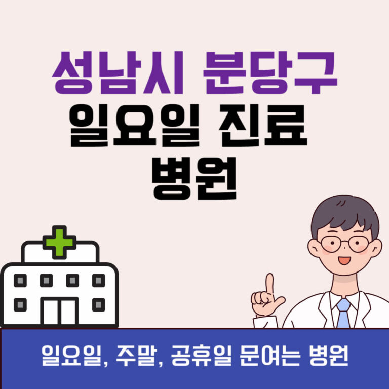 성남시 분당구 일요일 진료 병원