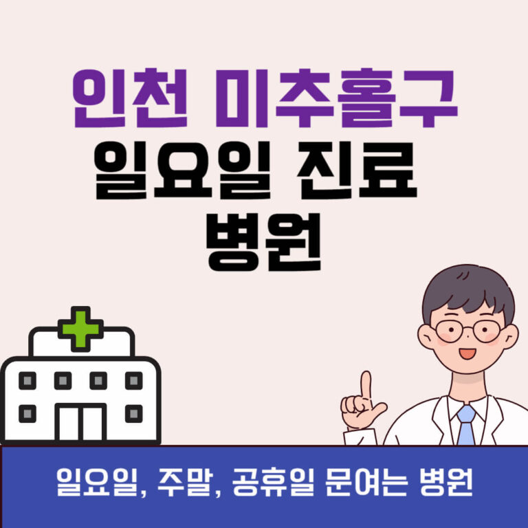 인천 미추홀구 일요일 진료 병원