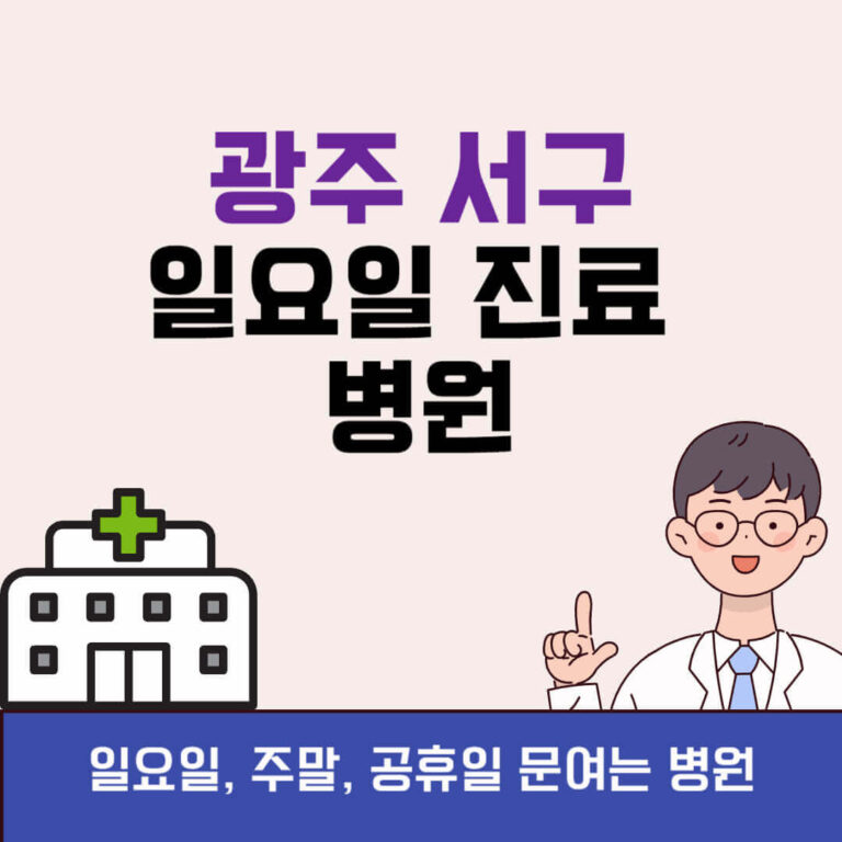 광주 서구 일요일 진료 병원