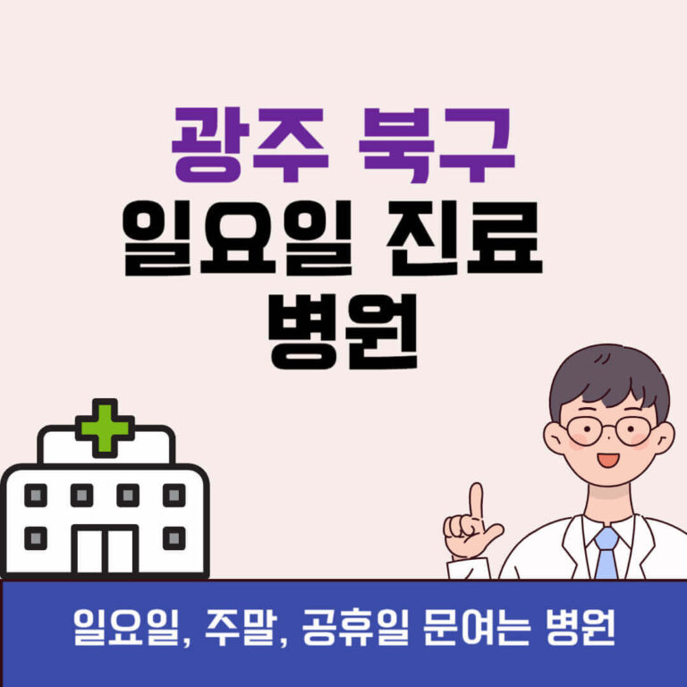 광주 북구 일요일 진료 병원