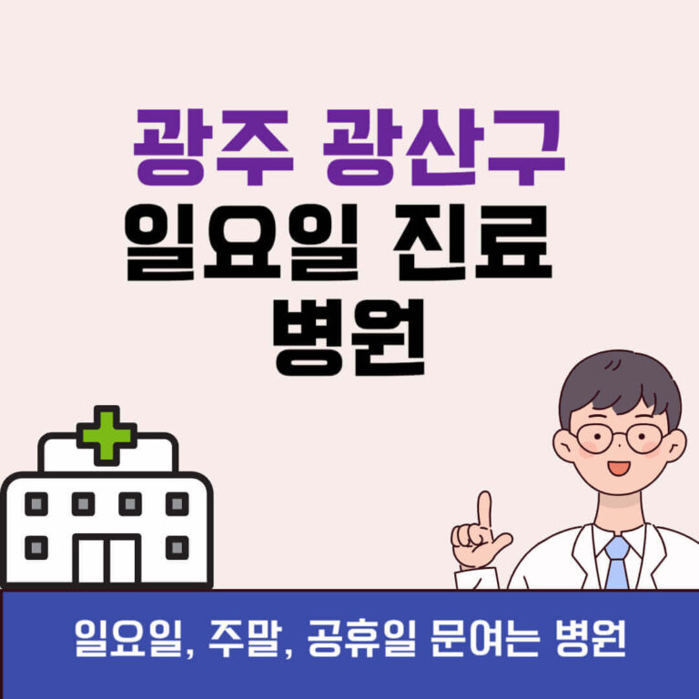 광주 광산구 일요일 진료 병원