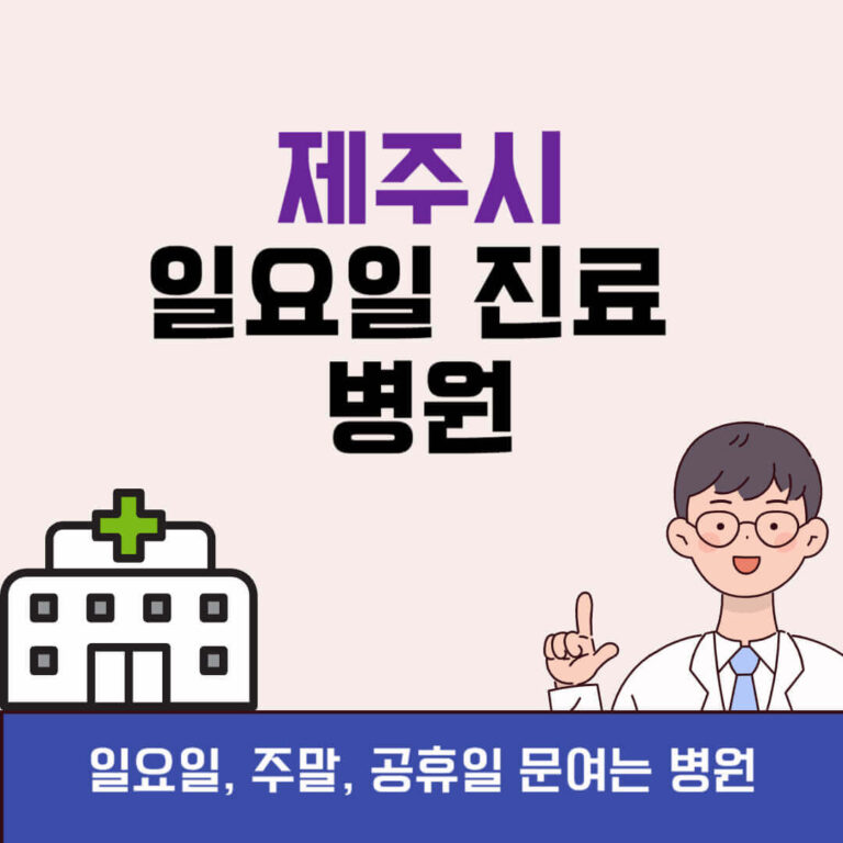 제주시 일요일 진료 병원