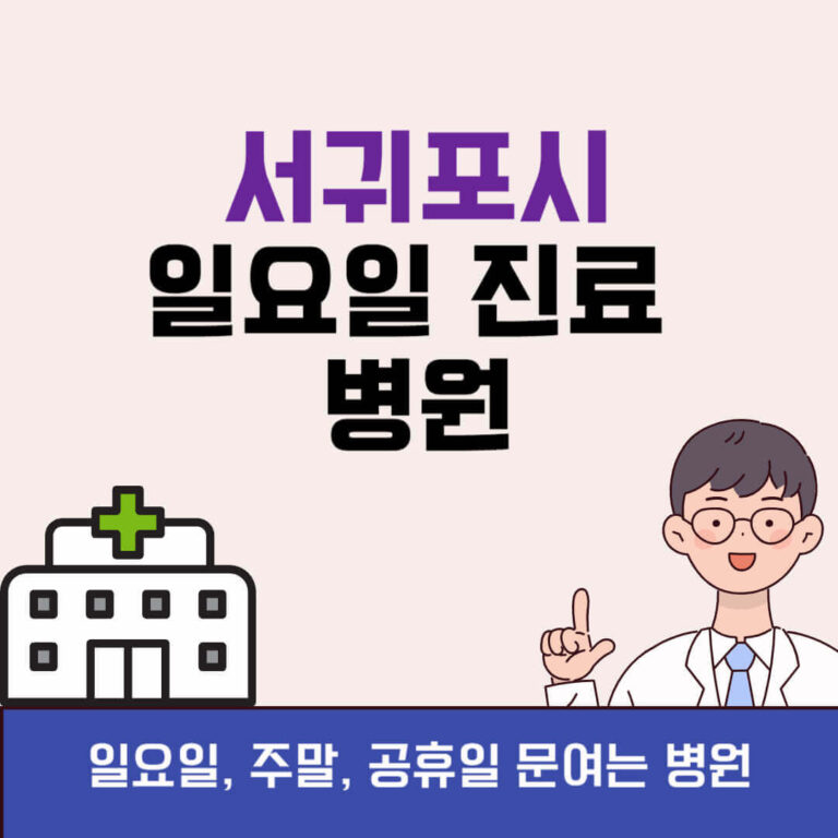 서귀포시 일요일 진료 병원