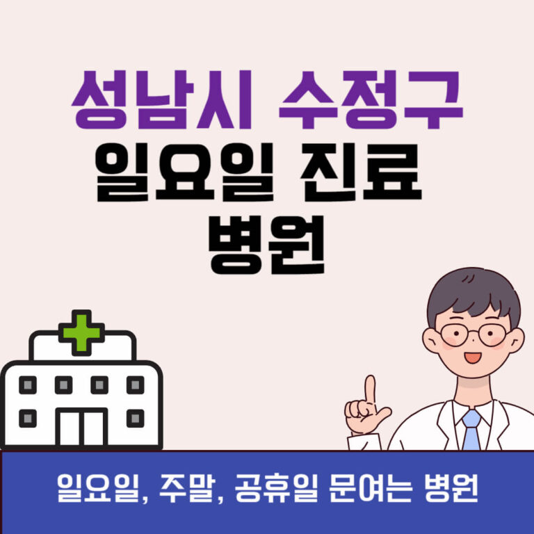 성남시 수정구 일요일 진료 병원