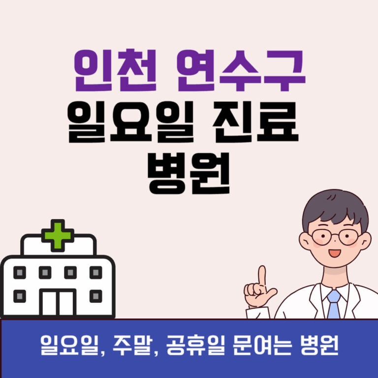 인천 연수구 일요일 진료 병원