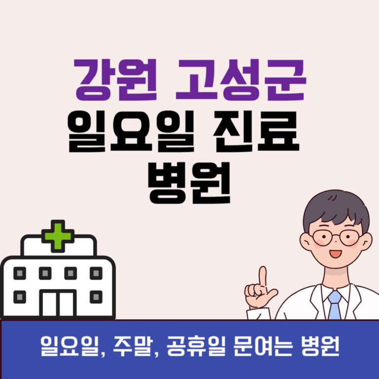 강원 고성군 일요일 진료 병원