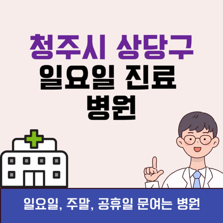 청주시 상당구 일요일 진료 병원