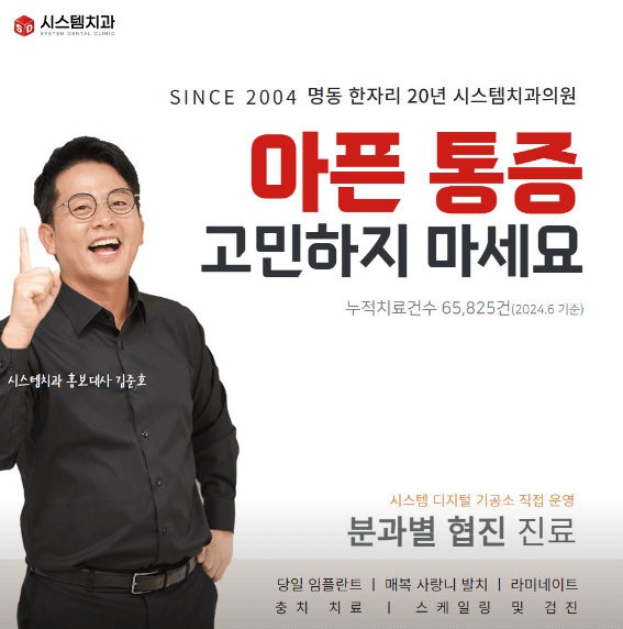 종로구 세종로 임플란트 치과