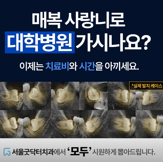 암사역 임플란트 치과