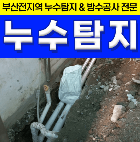 부산 영도구 누수탐지