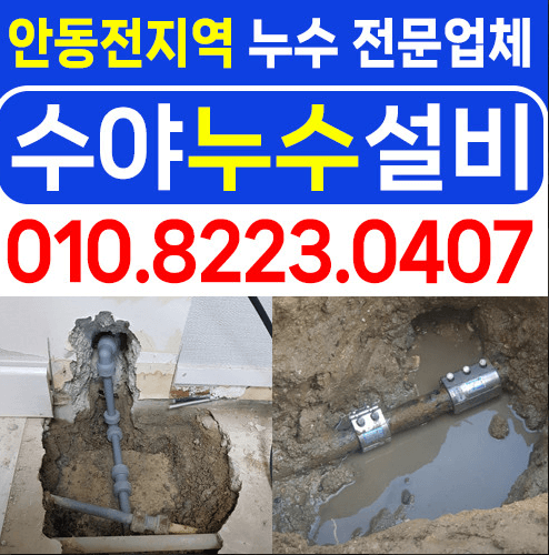 안동시 누수탐지