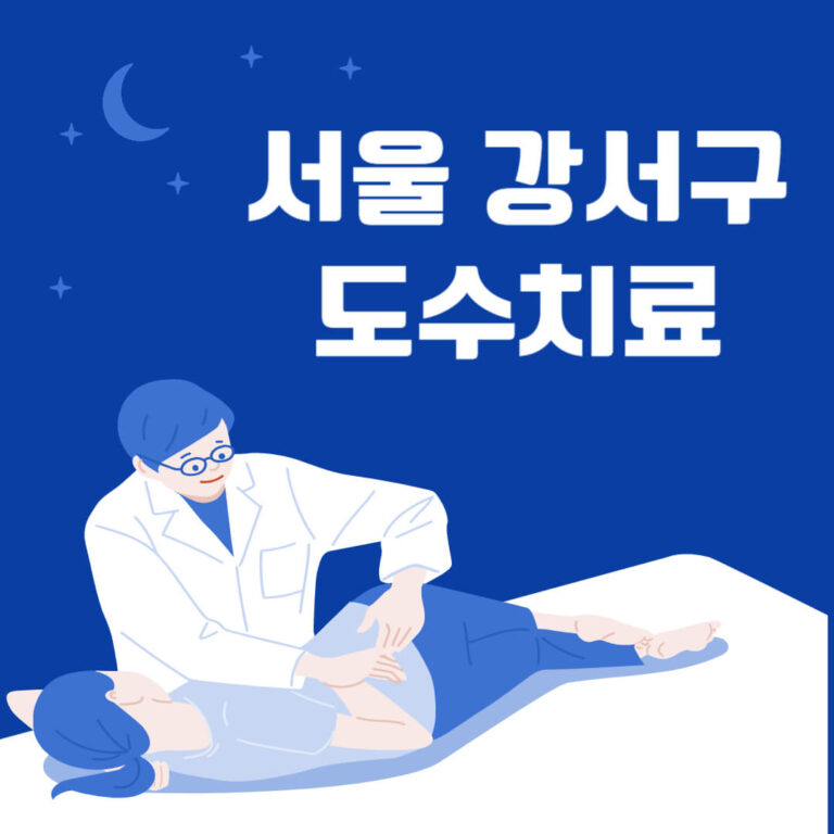 서울 강서구 도수치료