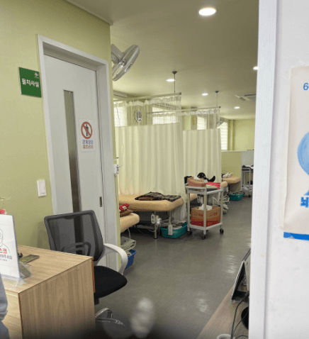 서귀포시 정형외과